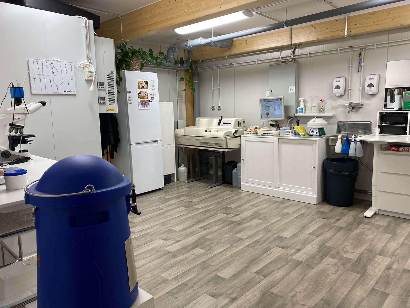 Laboratorio