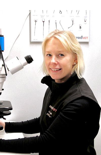 Lena Lindh